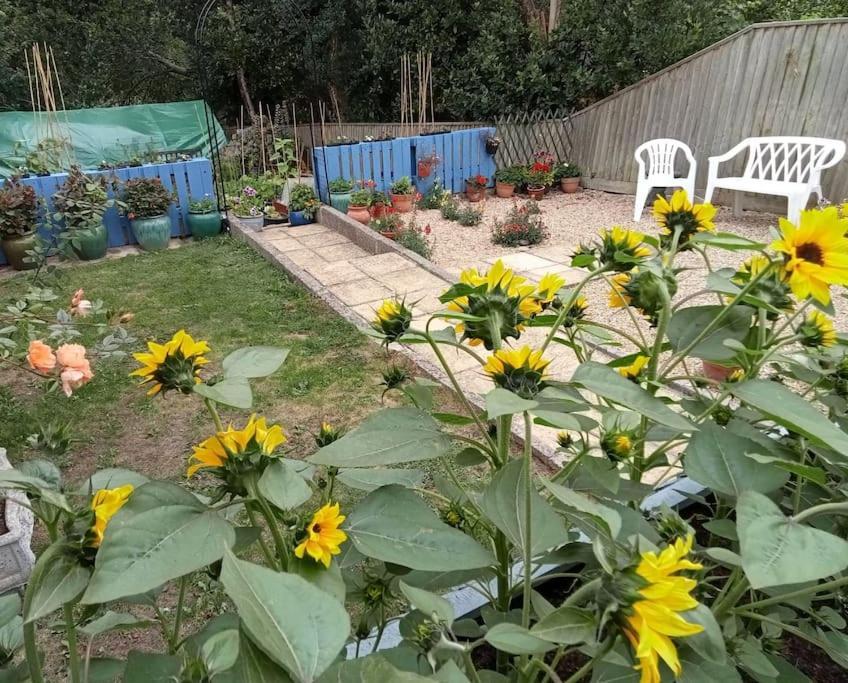 فيلا House With Free Parking And Large Garden Wyke Regis المظهر الخارجي الصورة